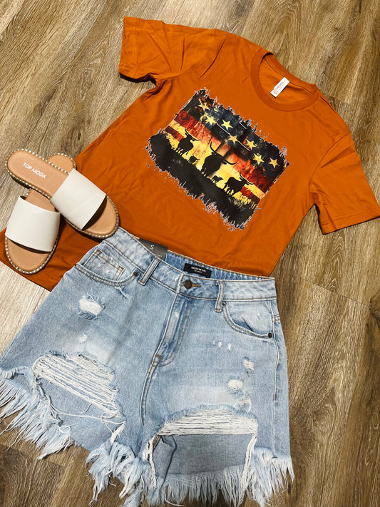Western American Flag T-shirt