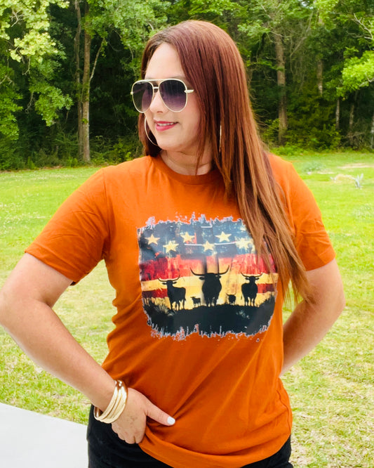 Texas Longhorn Tshirt